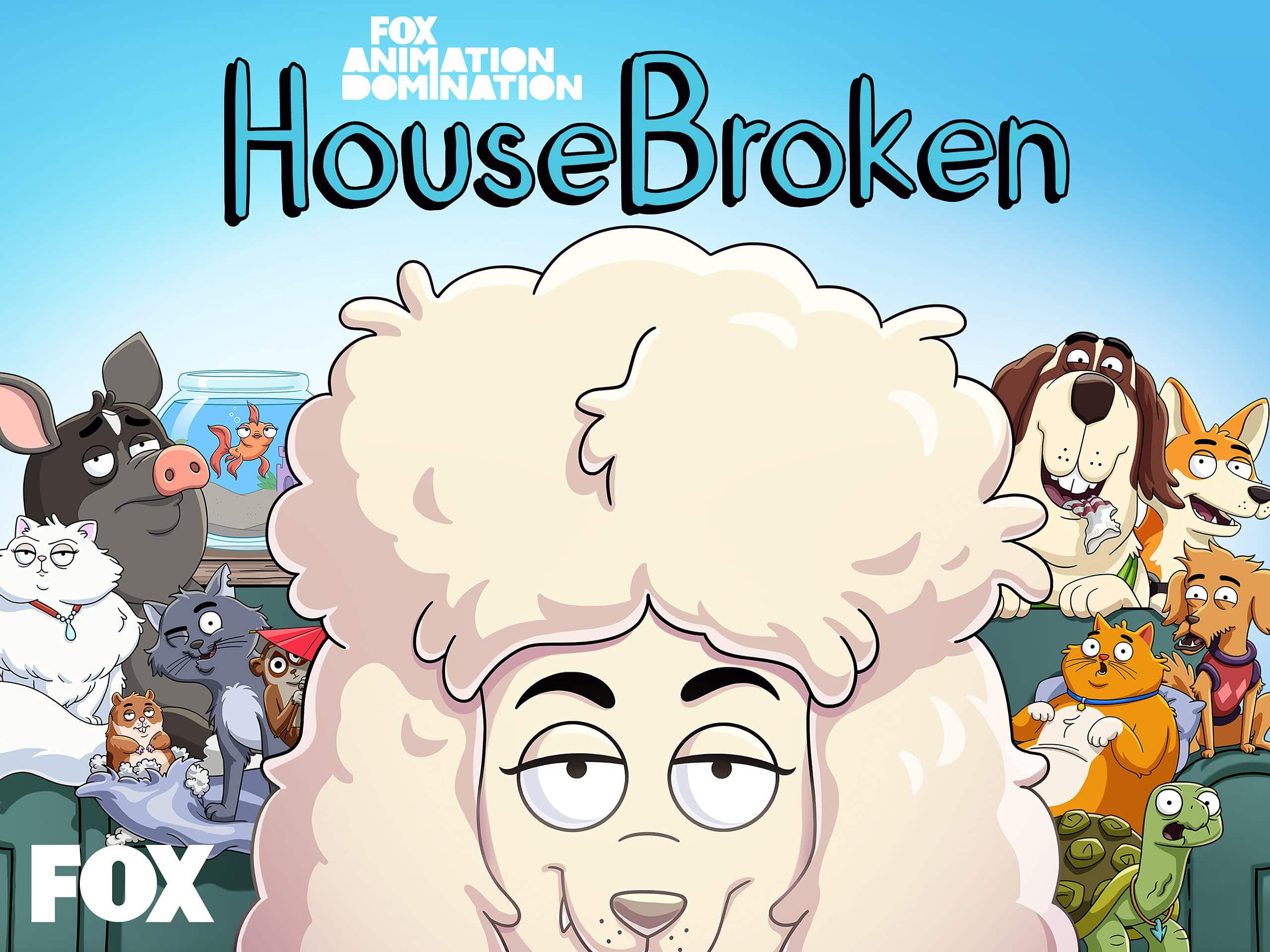 house-broken